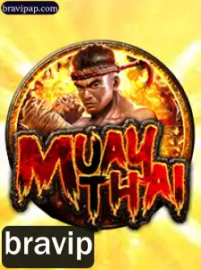 Entendendo o Jogo MuayThai e a Chave para o Sucesso: Bravip